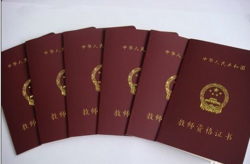 汉语言文学专业能否考取教师资格证及从事教育软件开发